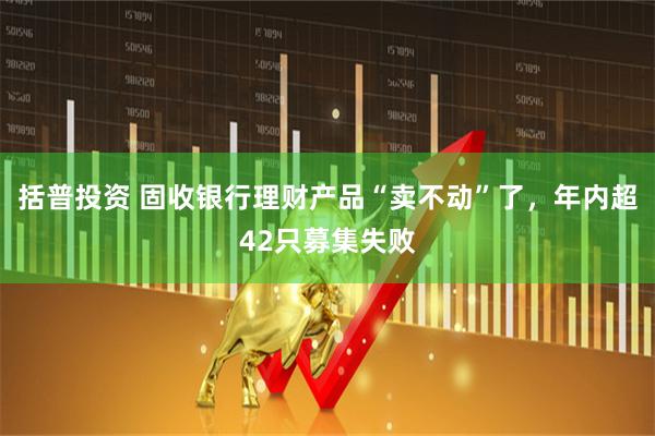 括普投资 固收银行理财产品“卖不动”了，年内超42只募集失败